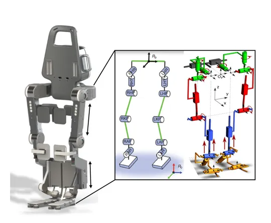 Animation of an exoskeleton moving from sitting to standing.