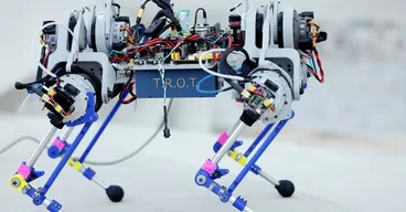 The robot has four legs with backward-facing knees. Each leg has three actuators, controlling hip ab/adduction, hip flexion/extension, and knee flexion/extension.  Exposed wires link up to the motors. T.R.O.T is emblazoned on the case around the belly of the robot.