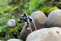 Design and Soft Robotics research