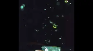 Spark of Color: water dancing off of a soft robotics combustion actuator