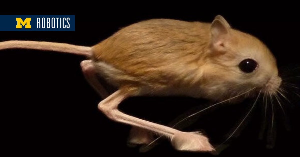 2022-how-evolution-overshot-